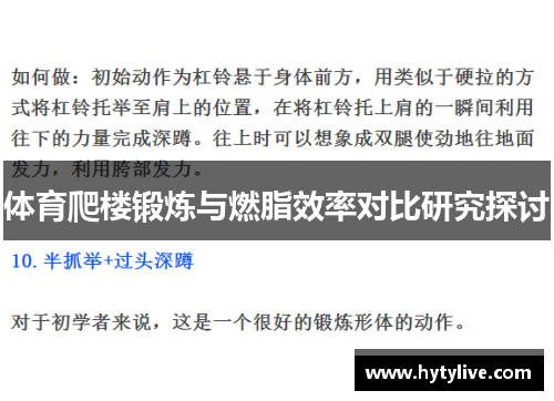 体育爬楼锻炼与燃脂效率对比研究探讨
